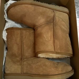 Brand New Uggs Size 5 Chestnut